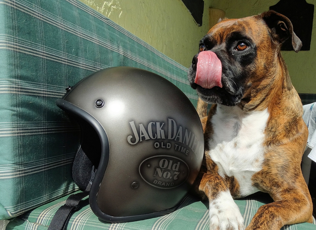 Auch Atze mag ihn: Jack Daniel's Helm von Sparkmonkeys @ reisecruiser.de