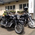 XV 1900 - reisecruiser.de